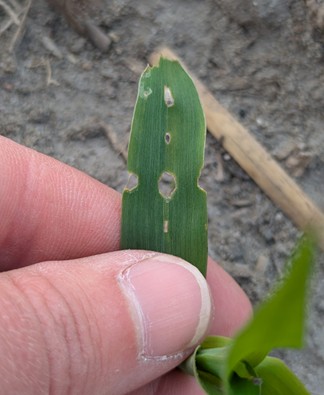 Image Agri-Réseau
