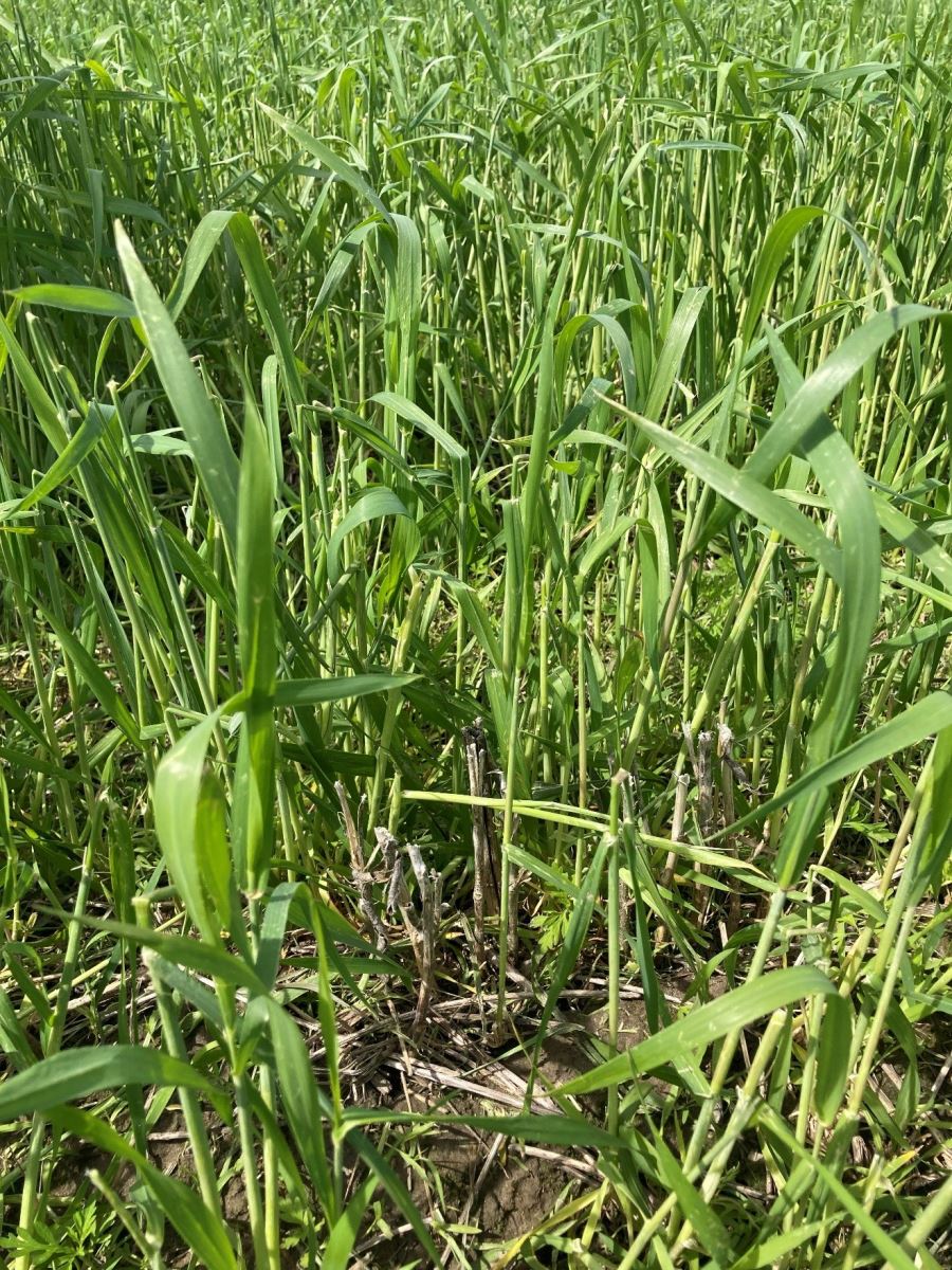 Image Agri-Réseau