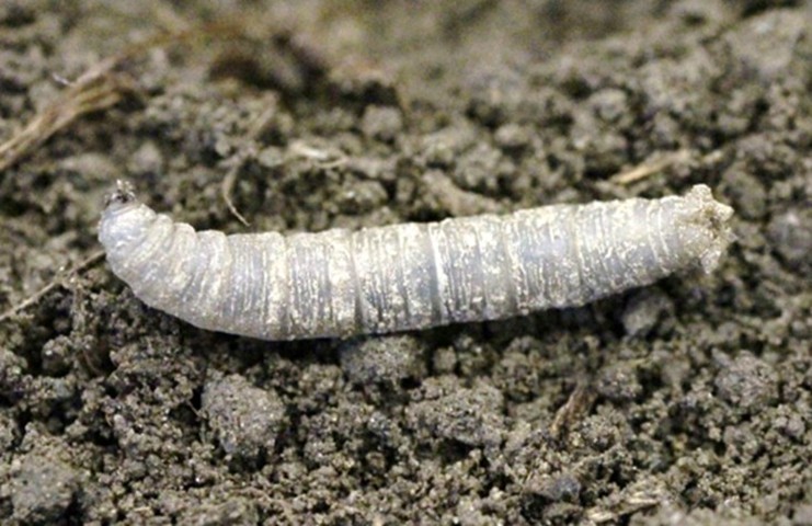 Image Agri-Réseau