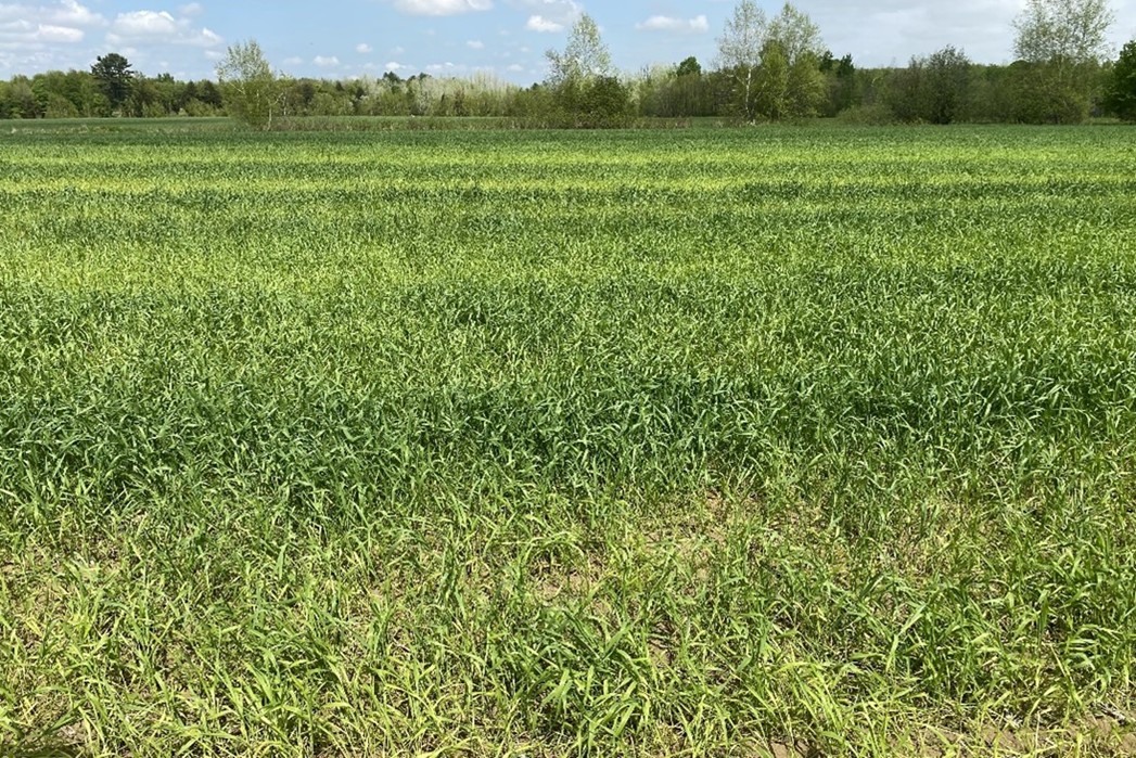 Image Agri-Réseau