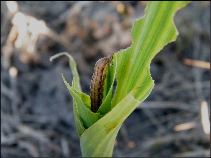 Image Agri-Réseau