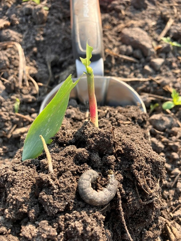 Image Agri-Réseau