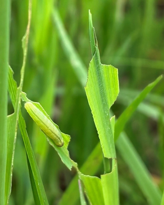 Image Agri-Réseau