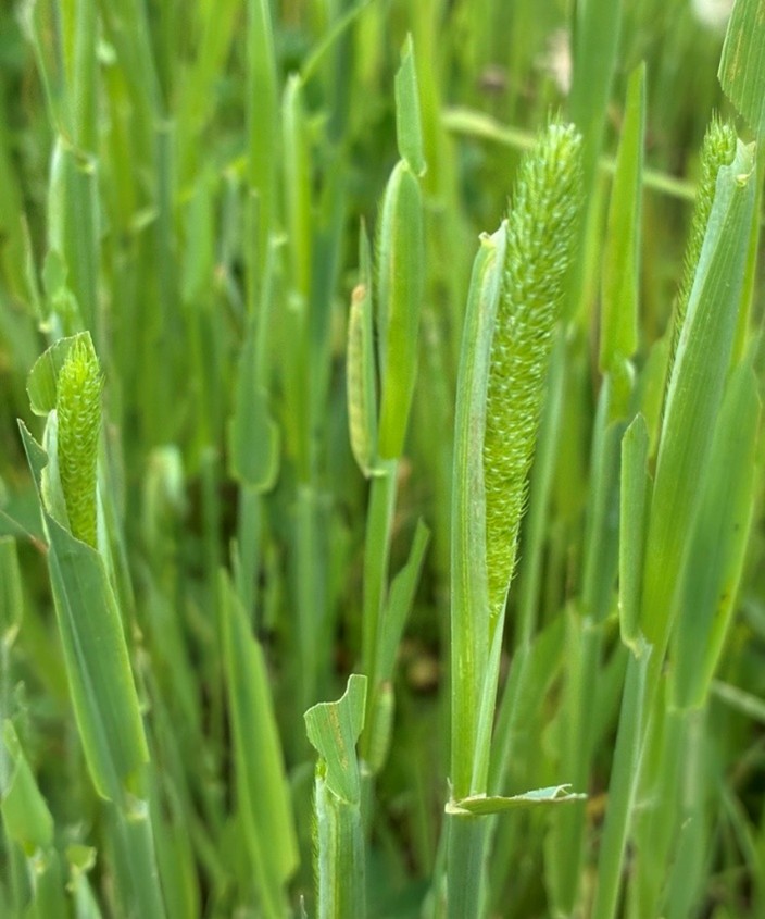 Image Agri-Réseau