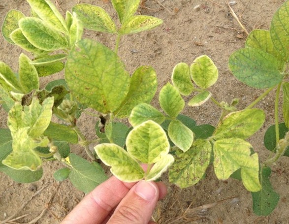 Image Agri-Réseau