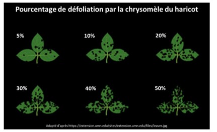 Image Agri-Réseau