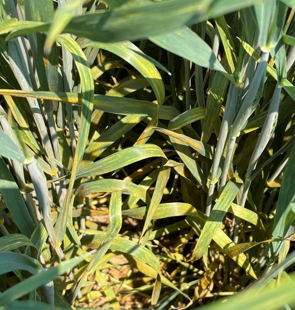 Image Agri-Réseau