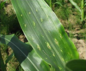 Image Agri-Réseau