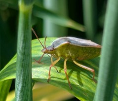 Image Agri-Réseau