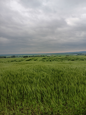 Image Agri-Réseau