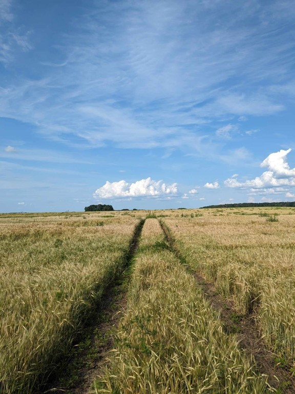 Image Agri-Réseau