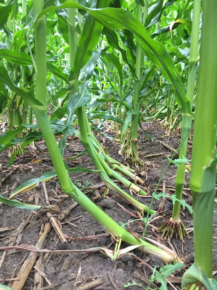 Image Agri-Réseau