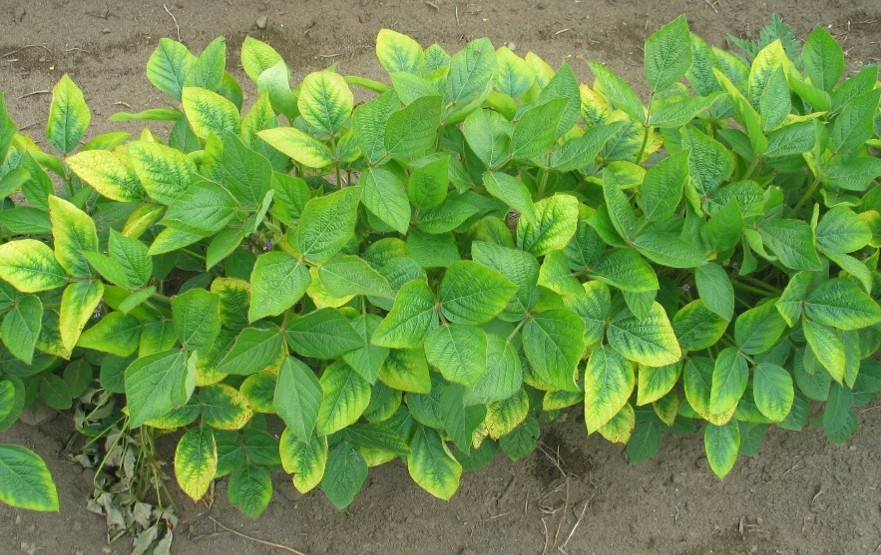 Image Agri-Réseau