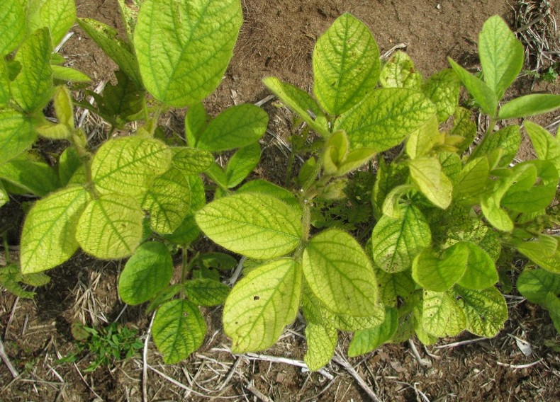 Image Agri-Réseau