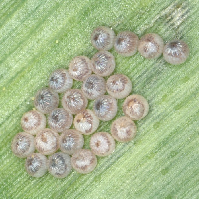 Image Agri-Réseau