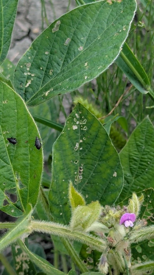 Image Agri-Réseau