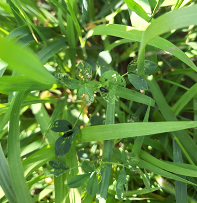 Image Agri-Réseau
