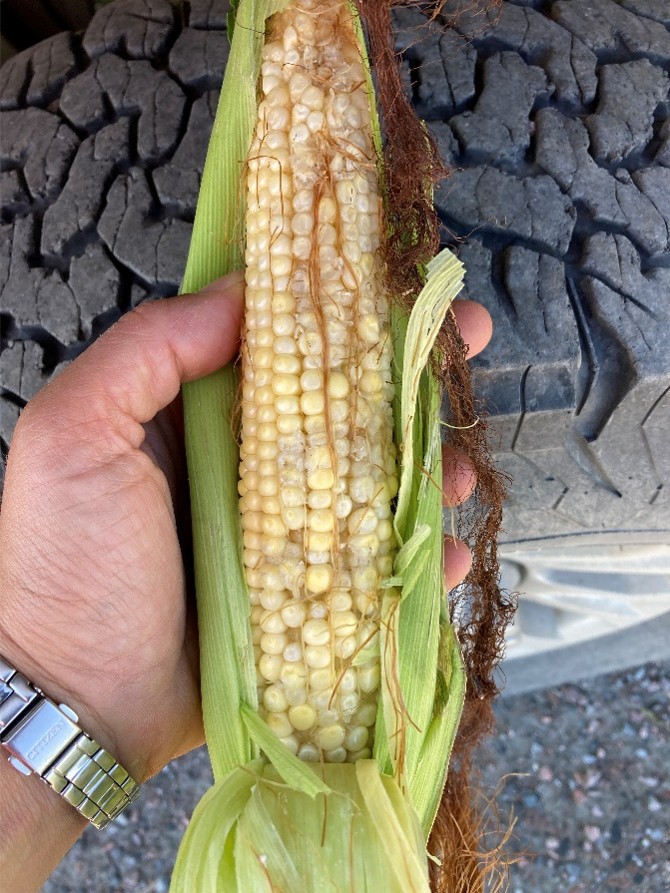 Image Agri-Réseau