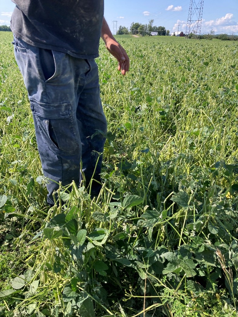 Image Agri-Réseau