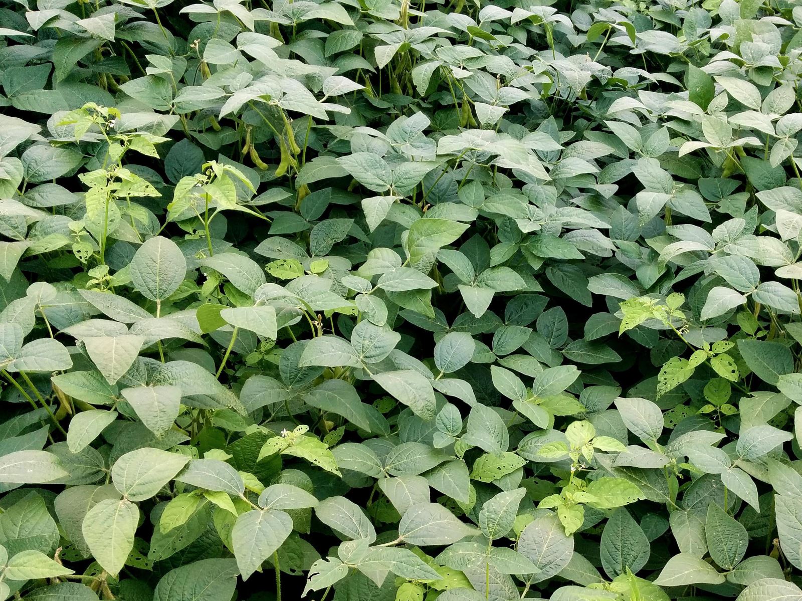 Image Agri-Réseau
