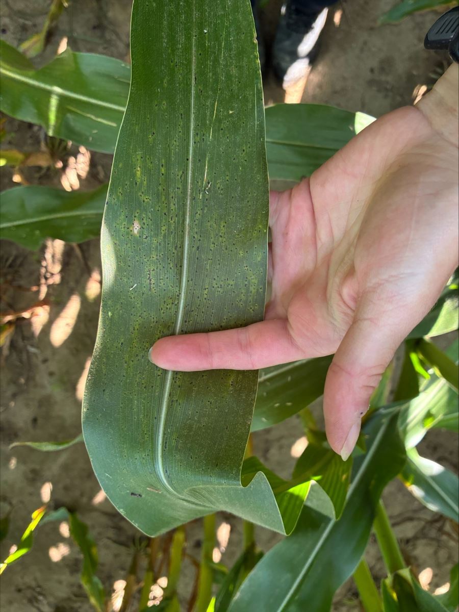 Image Agri-Réseau