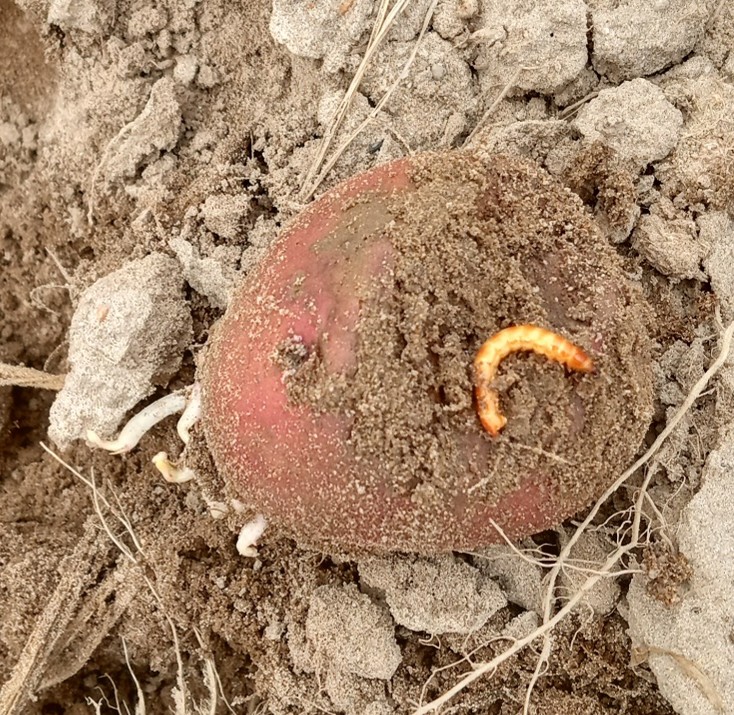 Image Agri-Réseau