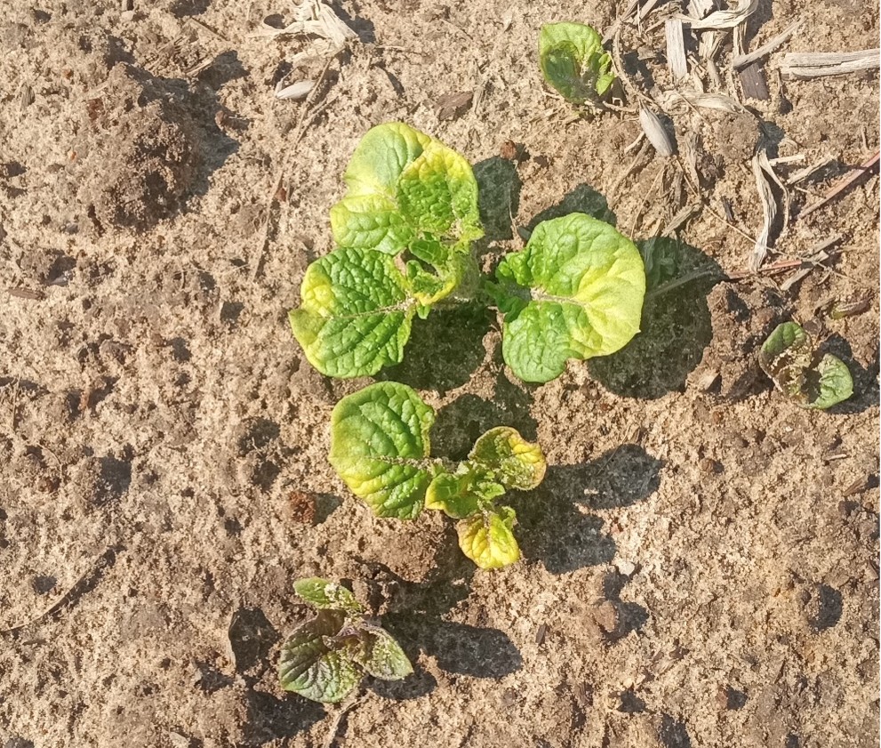Image Agri-Réseau