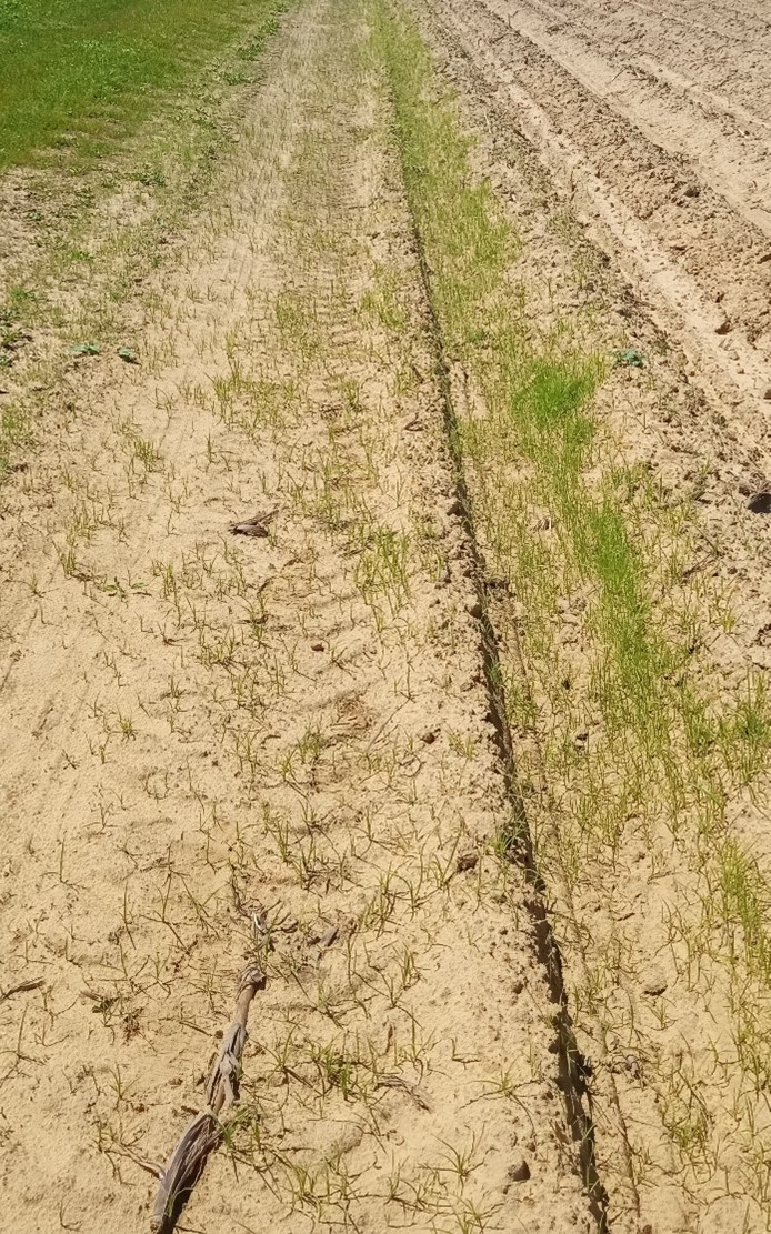 Image Agri-Réseau
