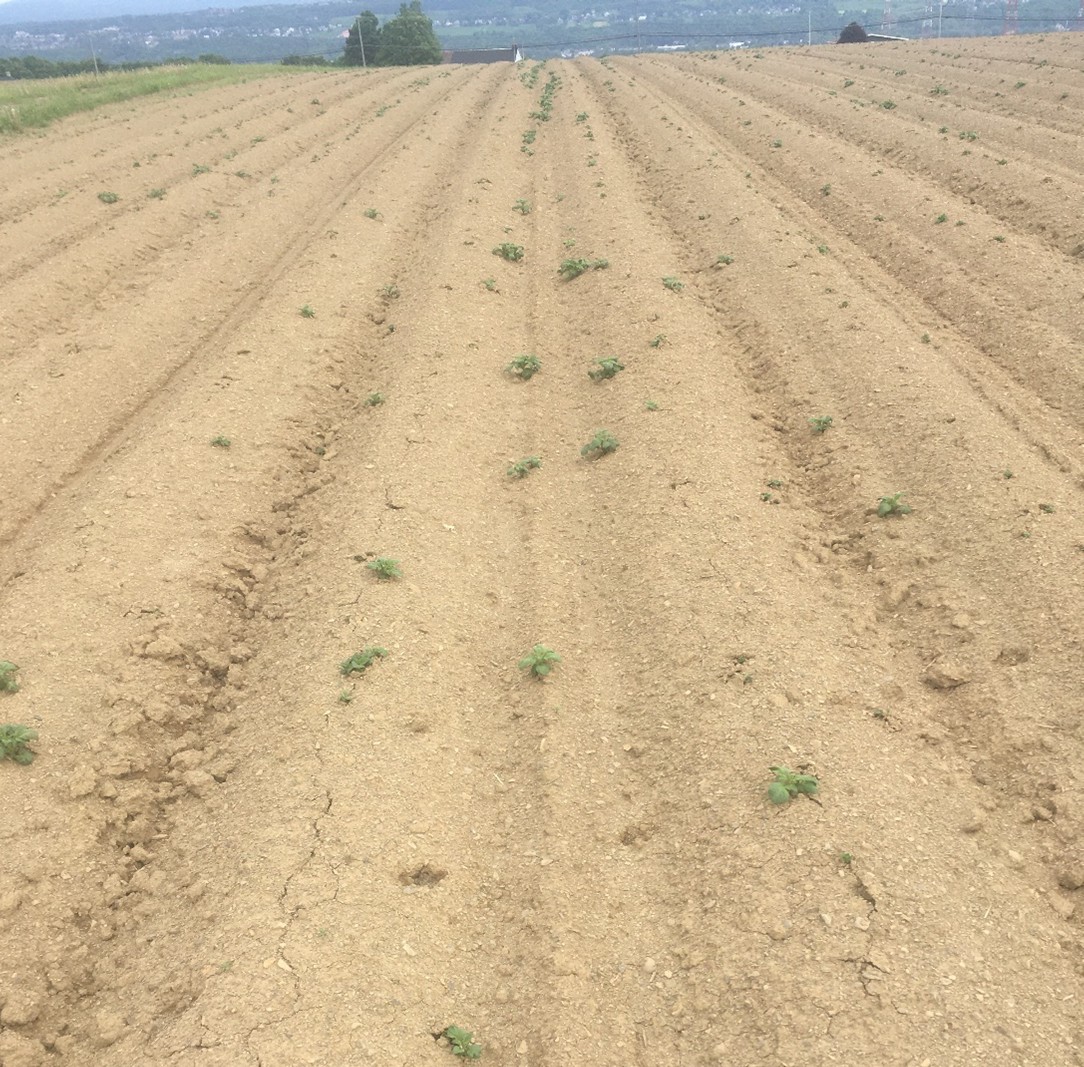 Image Agri-Réseau