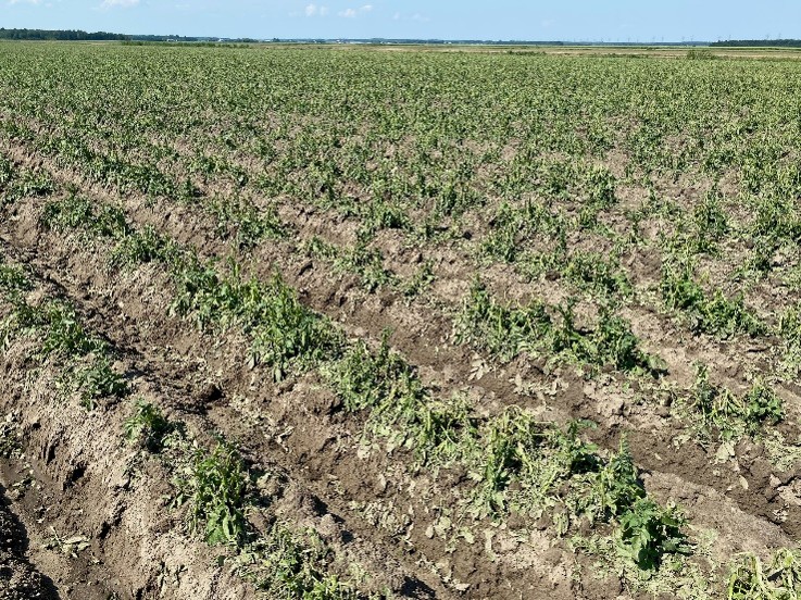 Image Agri-Réseau