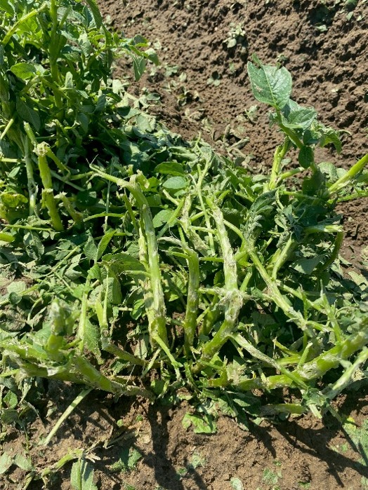 Image Agri-Réseau