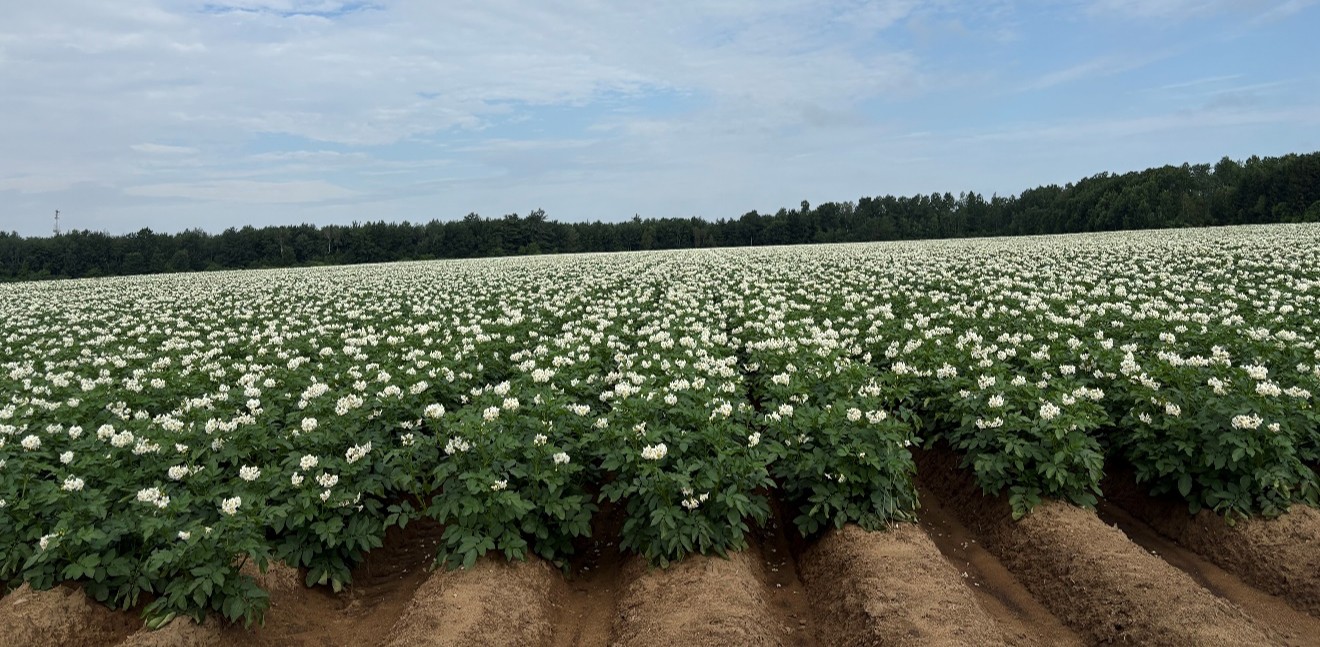 Image Agri-Réseau