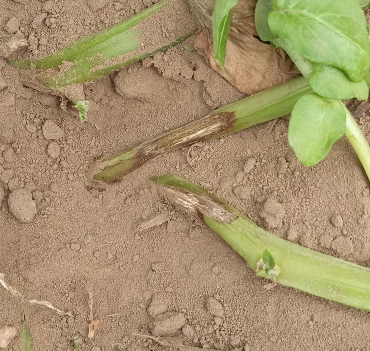 Image Agri-Réseau