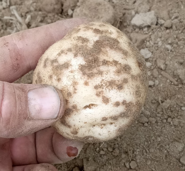 Image Agri-Réseau