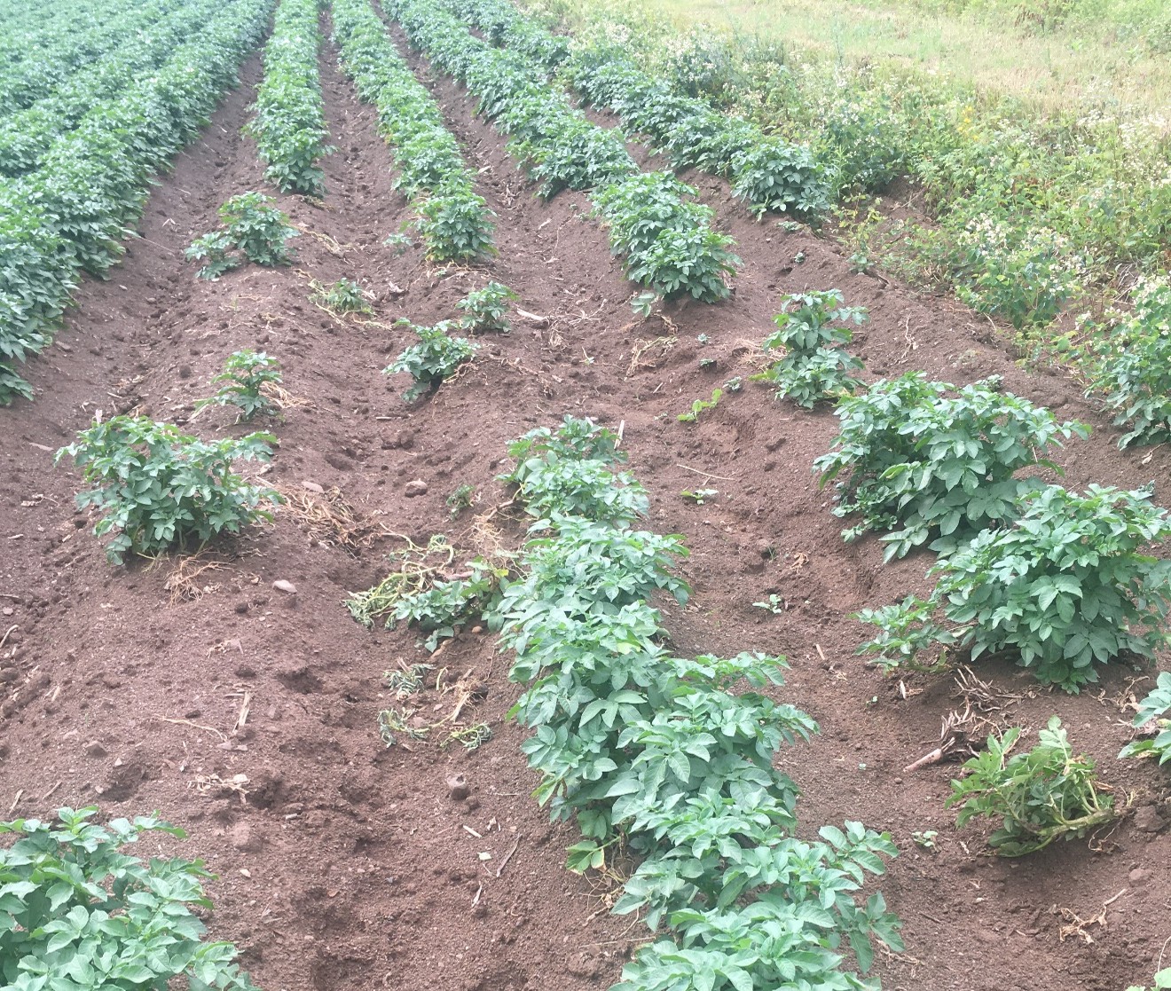 Image Agri-Réseau