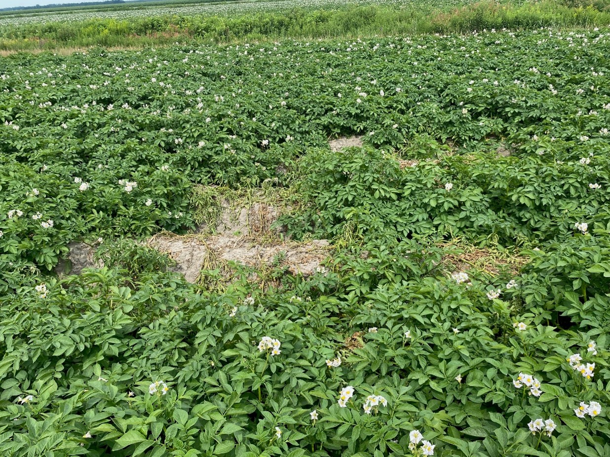 Image Agri-Réseau