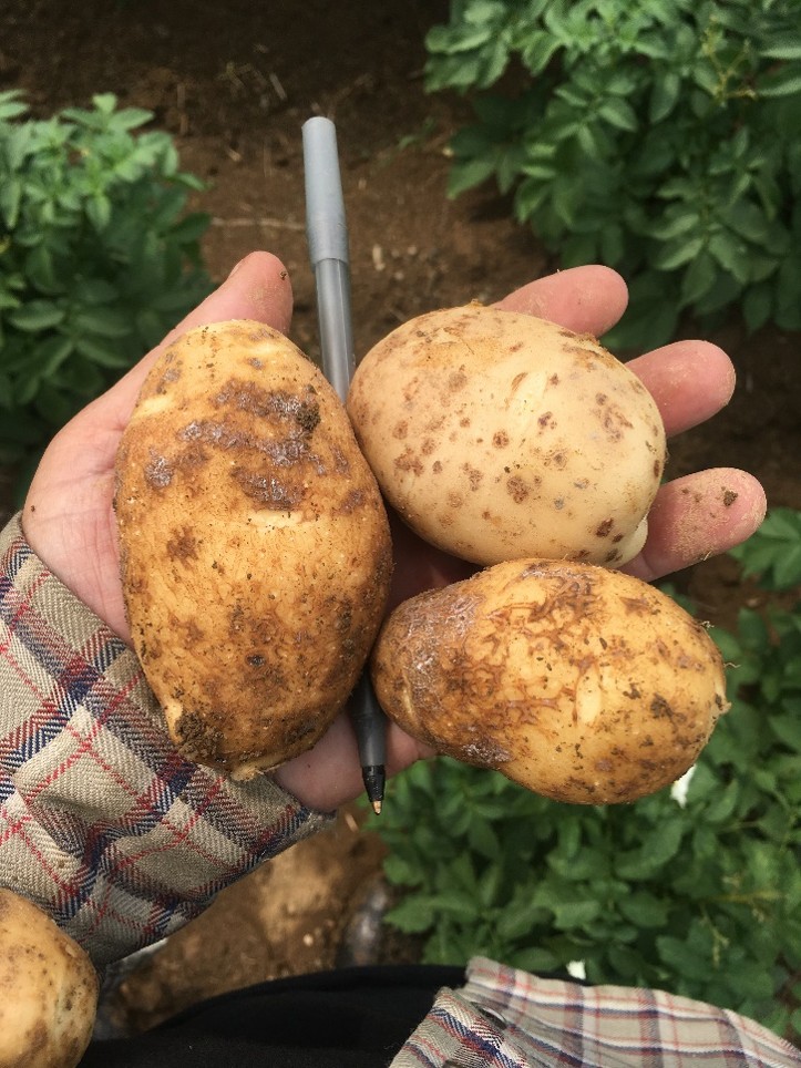 Image Agri-Réseau