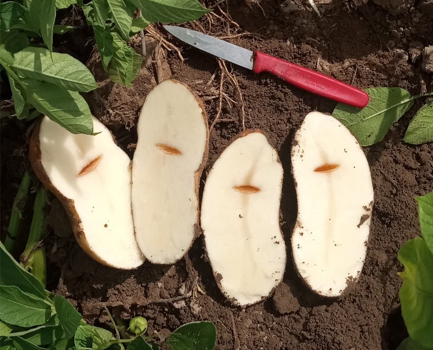 Image Agri-Réseau