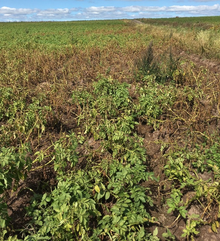 Image Agri-Réseau