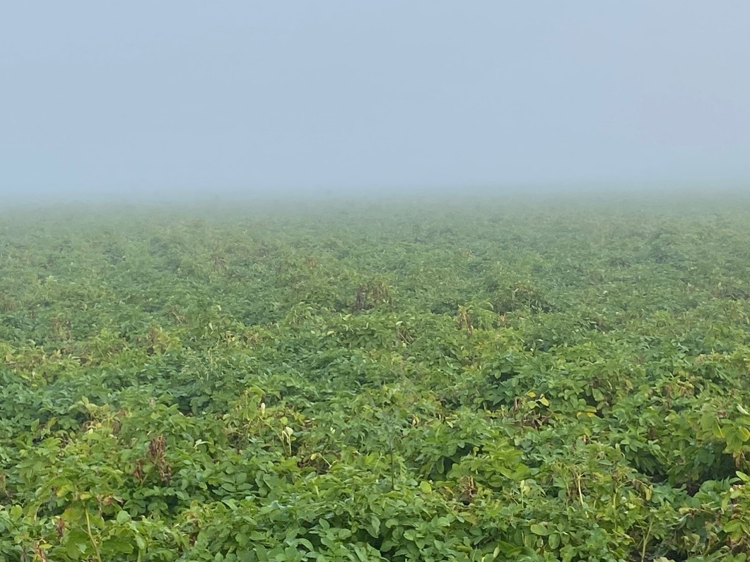Image Agri-Réseau