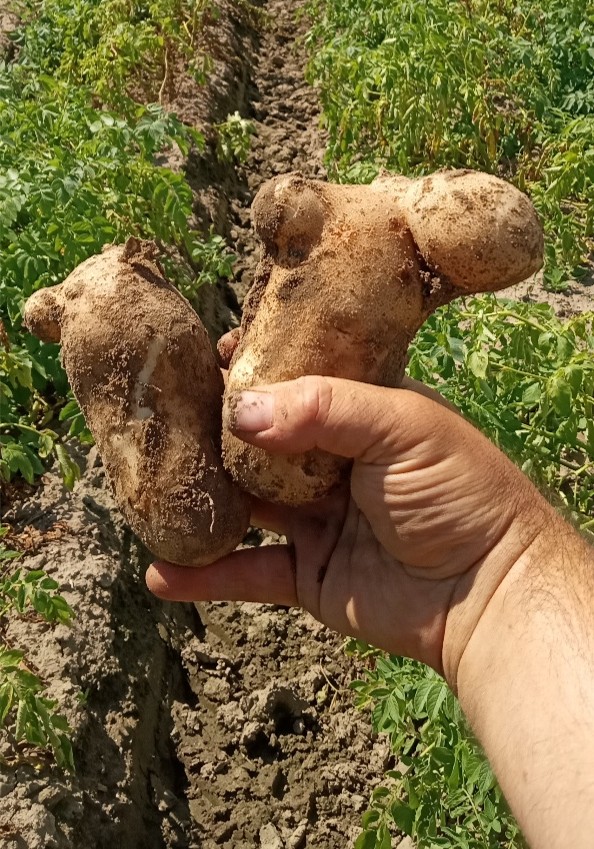 Image Agri-Réseau