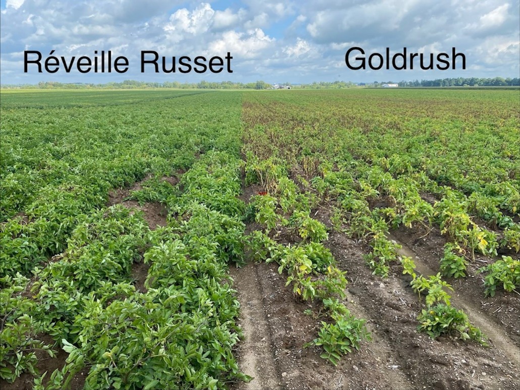 Image Agri-Réseau