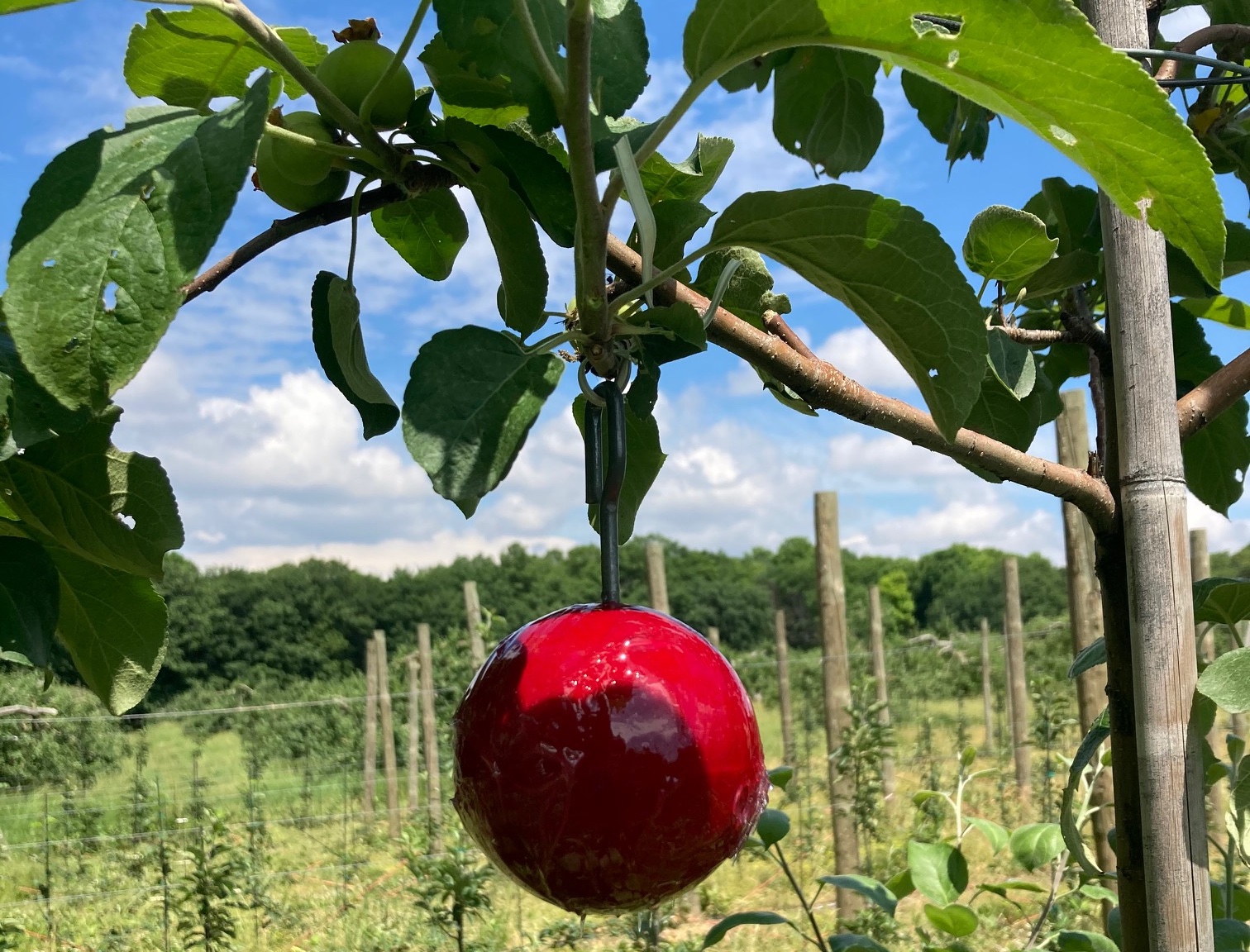 Image Agri-Réseau