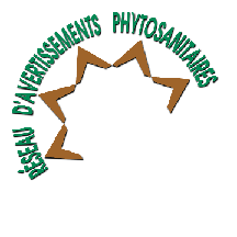 Logo99test.gif (6943 octets)