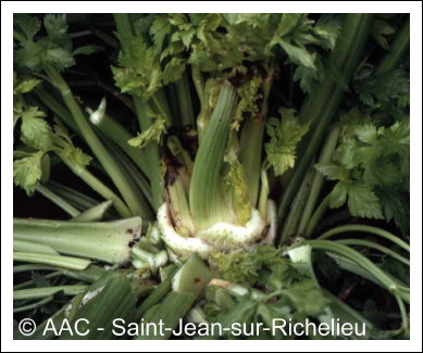 D�s�quilibre hydrique