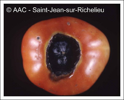 D�s�quilibre hydrique