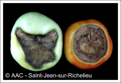 D�s�quilibre hydrique