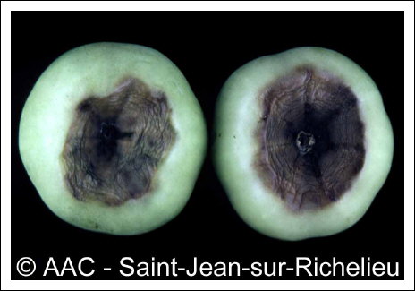 D�s�quilibre hydrique