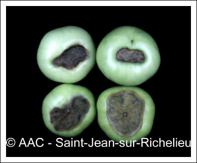 D�s�quilibre hydrique