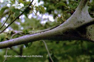 Livr�e d'Am�rique